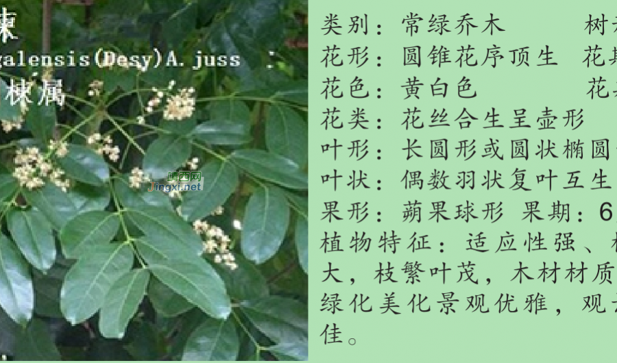 龙潭湿地公园科普宣教 - 靖西市·靖西网