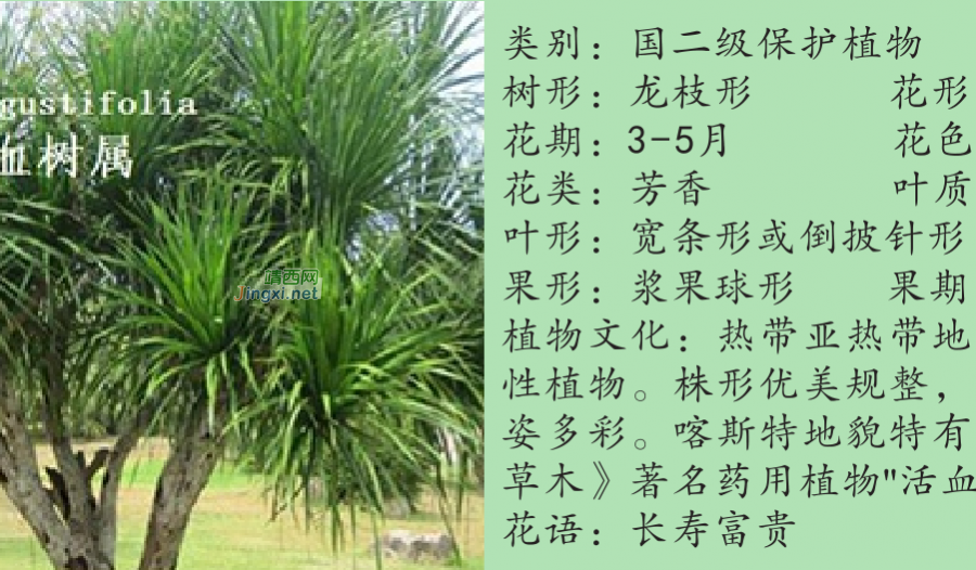 龙潭湿地公园科普宣教 - 靖西市·靖西网