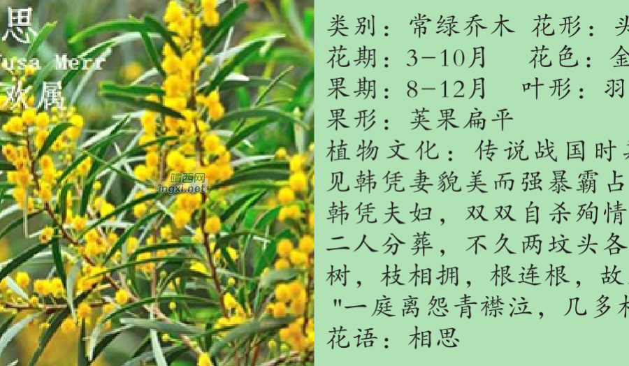 龙潭湿地公园科普宣教 - 靖西市·靖西网