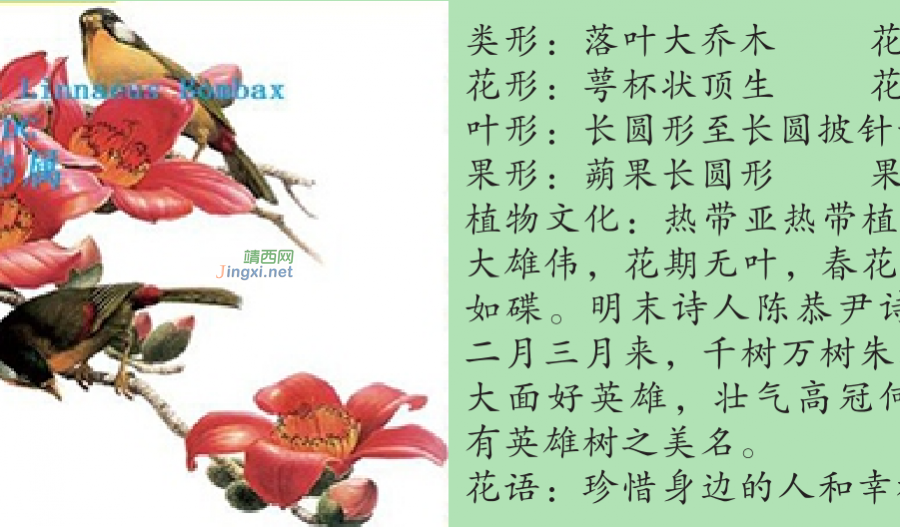 龙潭湿地公园科普宣教 - 靖西市·靖西网