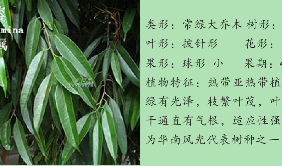 龙潭湿地公园科普宣教 - 靖西市·靖西网