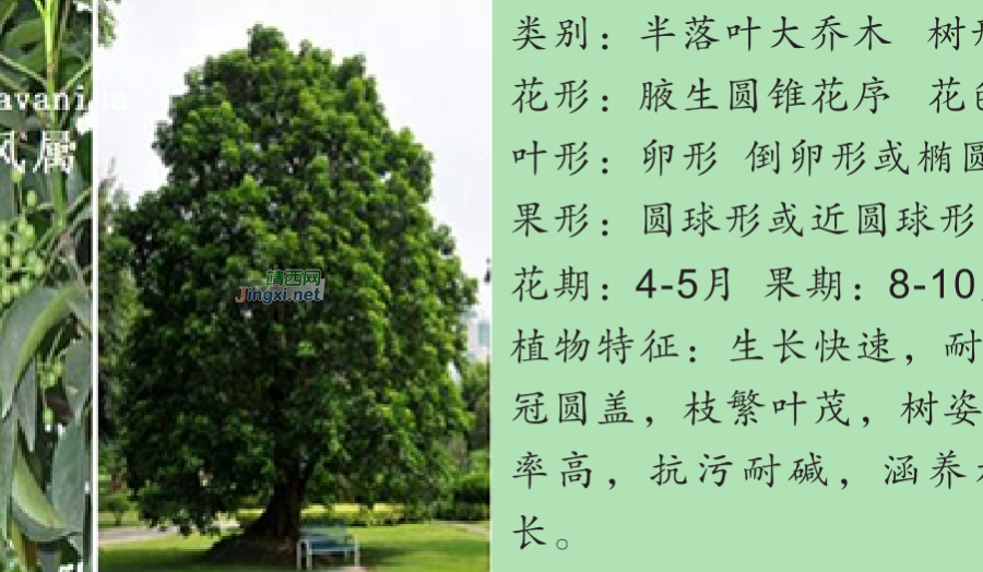 龙潭湿地公园科普宣教 - 靖西市·靖西网