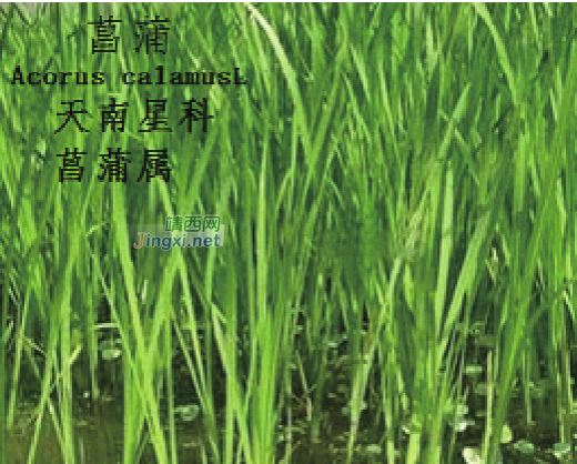 龙潭湿地公园科普宣教 - 靖西市·靖西网