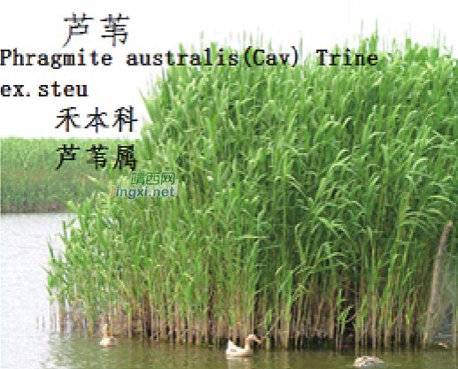 龙潭湿地公园科普宣教 - 靖西市·靖西网