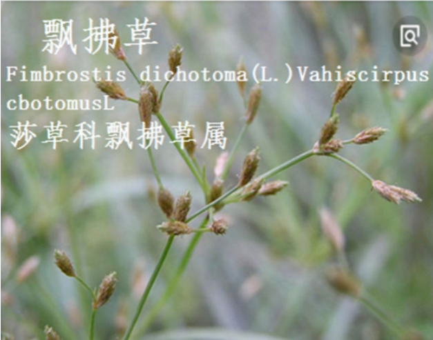 龙潭湿地公园科普宣教 - 靖西市·靖西网