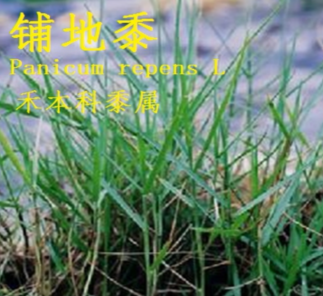 龙潭湿地公园科普宣教 - 靖西市·靖西网