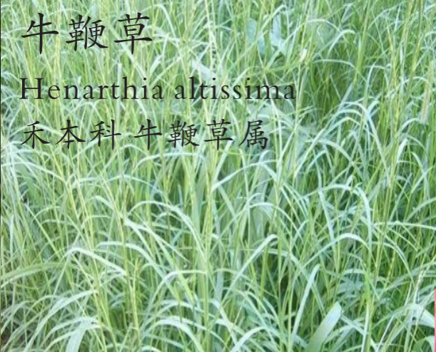 龙潭湿地公园科普宣教 - 靖西市·靖西网