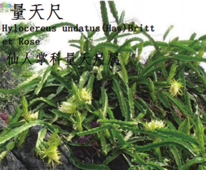 龙潭湿地公园科普宣教 - 靖西市·靖西网