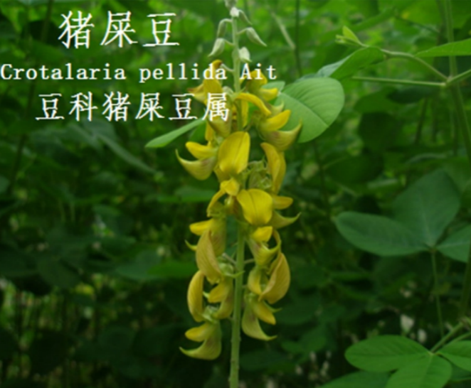 龙潭湿地公园科普宣教 - 靖西市·靖西网