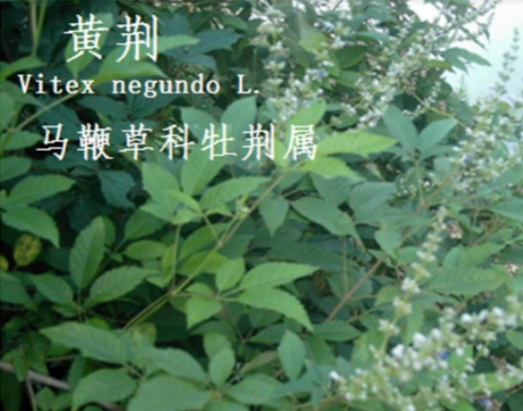 龙潭湿地公园科普宣教 - 靖西市·靖西网