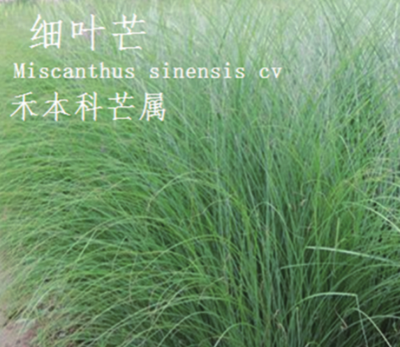 龙潭湿地公园科普宣教 - 靖西市·靖西网