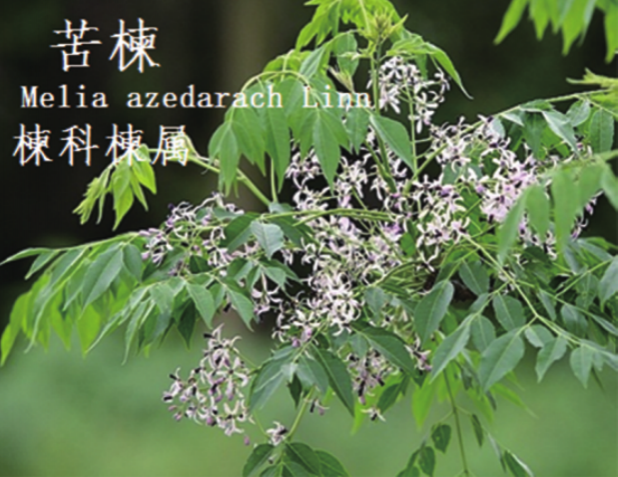 龙潭湿地公园科普宣教 - 靖西市·靖西网