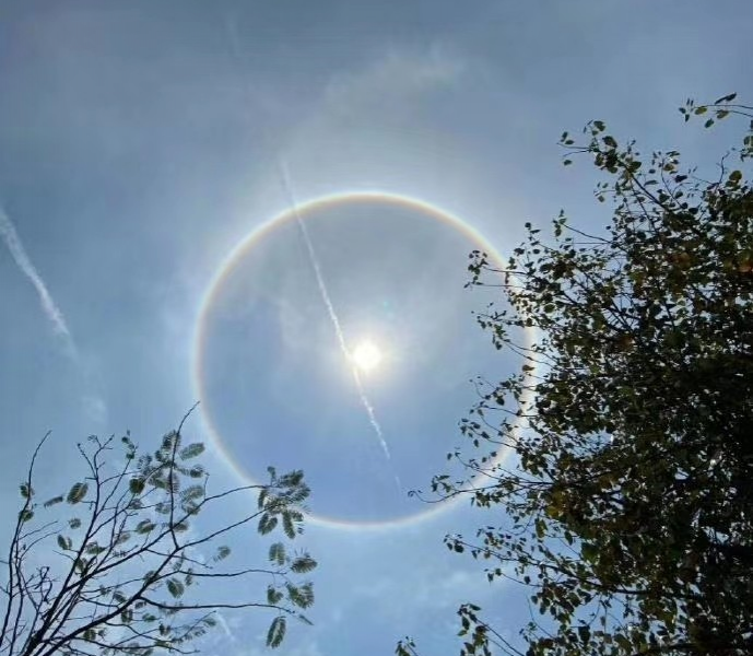 今日奇特景观！老板，这一篇文案写的如何呀？ - 靖西市·靖西网