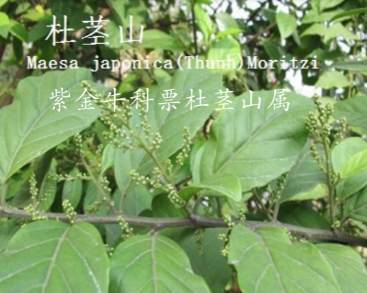 龙潭湿地公园科普宣教 - 靖西市·靖西网