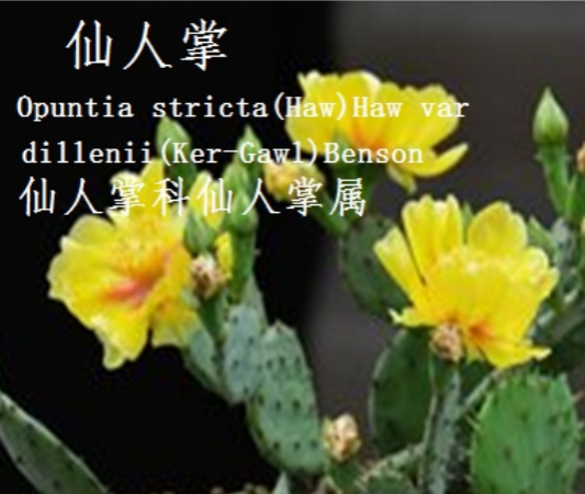 龙潭湿地公园科普宣教 - 靖西市·靖西网