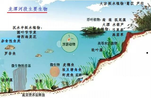 龙潭湿地公园科普宣教 - 靖西市·靖西网