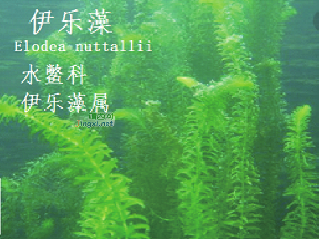 龙潭湿地公园科普宣教 - 靖西市·靖西网