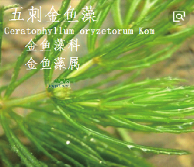 龙潭湿地公园科普宣教 - 靖西市·靖西网