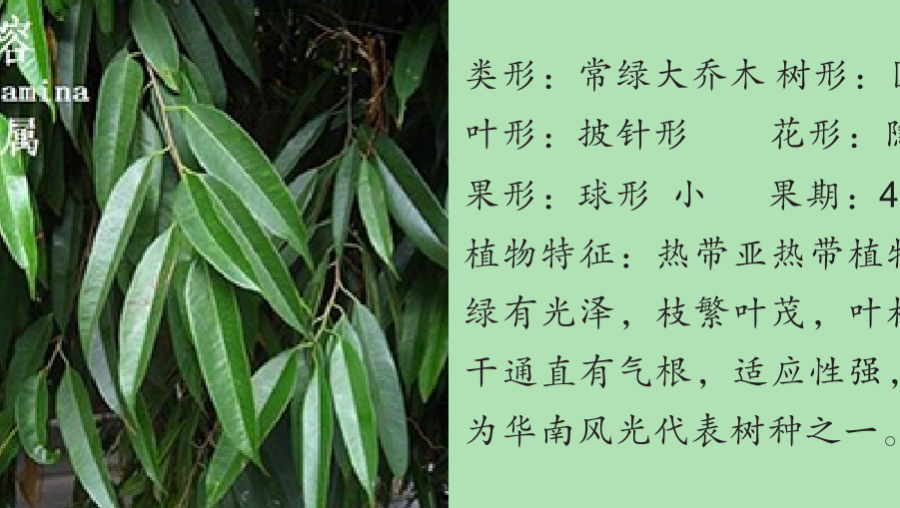 龙潭湿地公园科普宣教 - 靖西市·靖西网