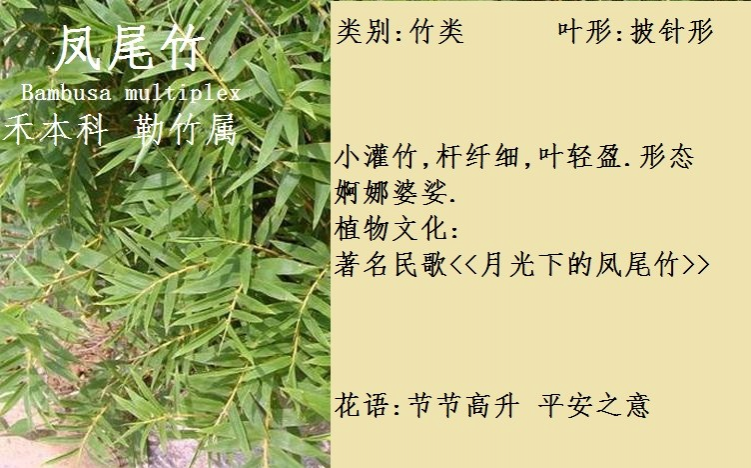 龙潭湿地公园科普宣教 - 靖西市·靖西网