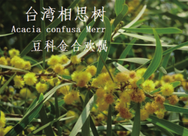 龙潭湿地公园科普宣教 - 靖西市·靖西网