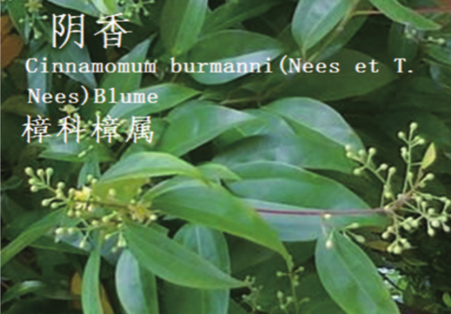 龙潭湿地公园科普宣教 - 靖西市·靖西网