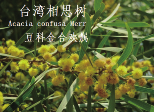 龙潭湿地公园科普宣教 - 靖西市·靖西网