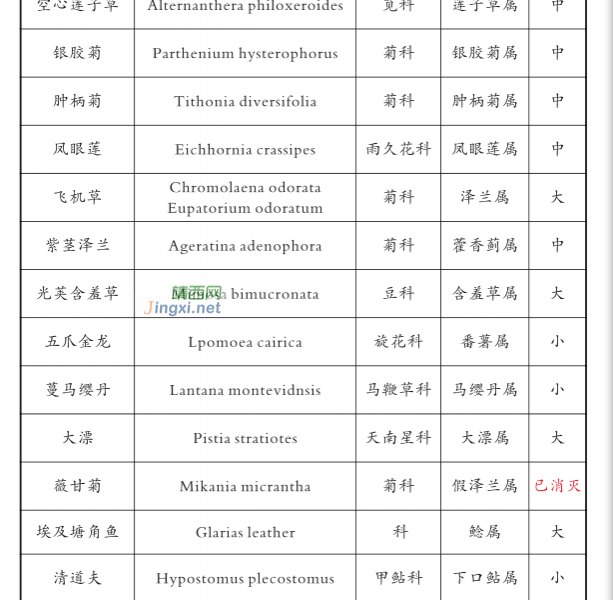 龙潭湿地公园科普宣教 - 靖西市·靖西网