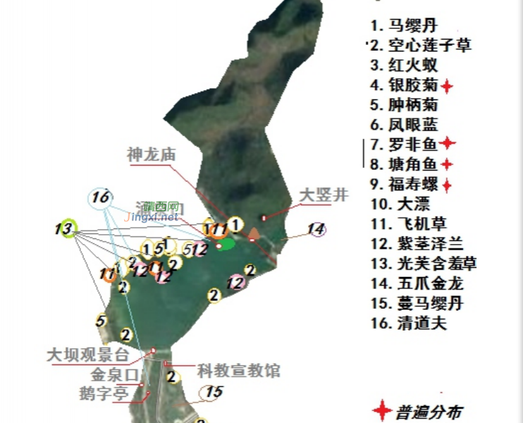 龙潭湿地公园科普宣教 - 靖西市·靖西网