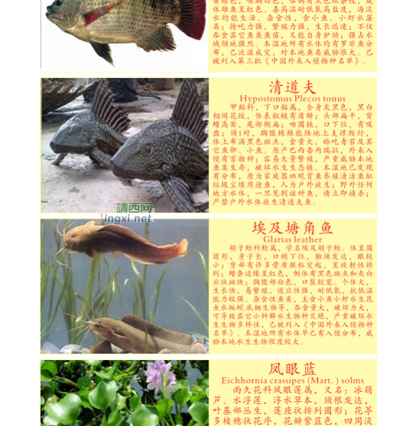 龙潭湿地公园科普宣教 - 靖西市·靖西网