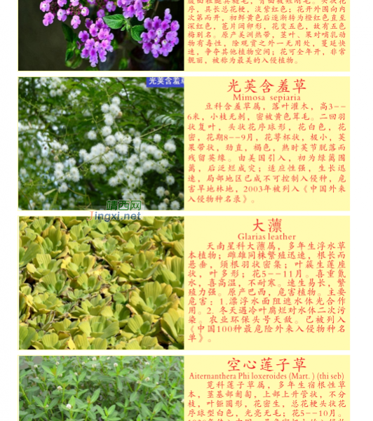 龙潭湿地公园科普宣教 - 靖西市·靖西网