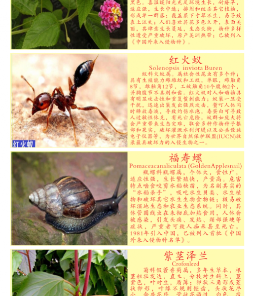 龙潭湿地公园科普宣教 - 靖西市·靖西网