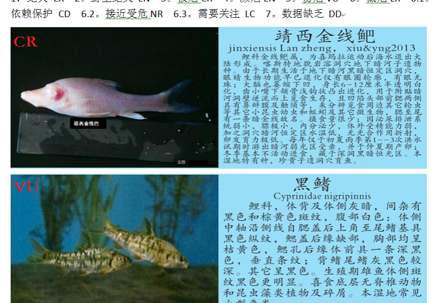 龙潭湿地公园科普宣教 - 靖西市·靖西网