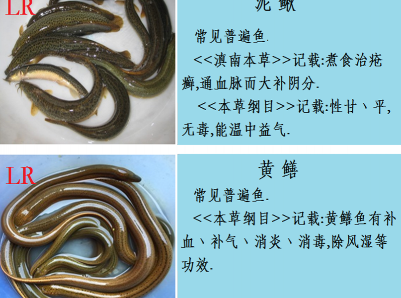 龙潭湿地公园科普宣教 - 靖西市·靖西网