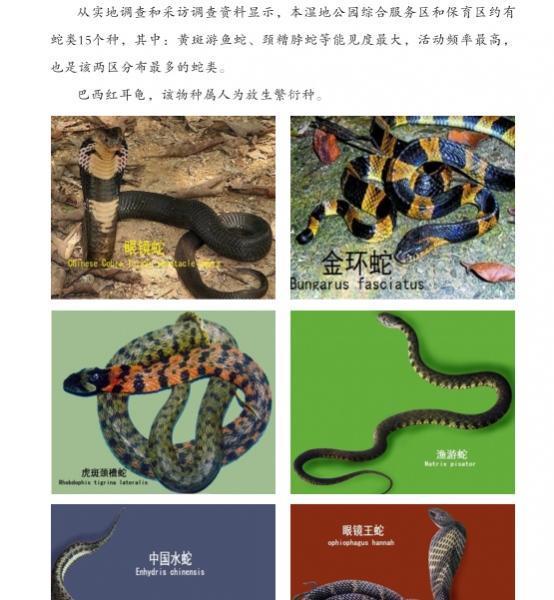 龙潭湿地公园科普宣教 - 靖西市·靖西网