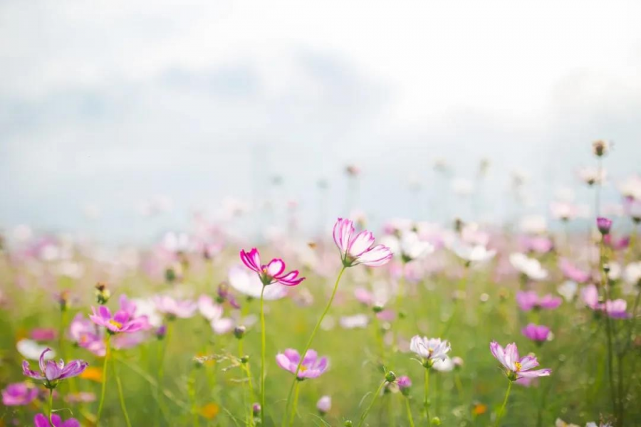 一个人说话的方式，决定他一生的运势 - 靖西市·靖西网