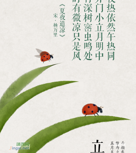 立夏｜绿树阴浓夏日长，楼台倒影入池塘 - 靖西市·靖西网