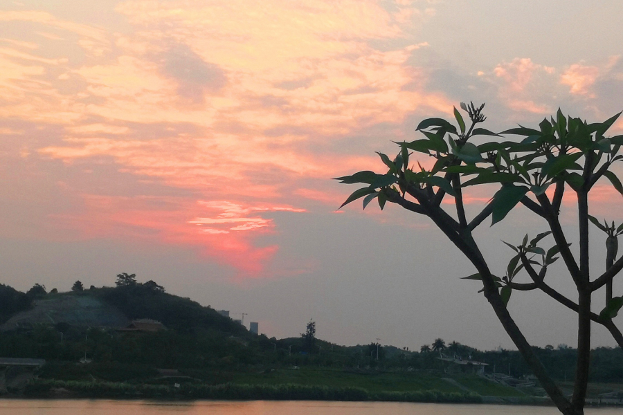 立夏｜绿树阴浓夏日长，楼台倒影入池塘 - 靖西市·靖西网