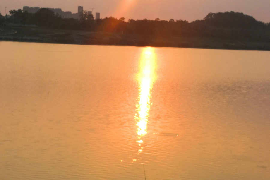 立夏｜绿树阴浓夏日长，楼台倒影入池塘 - 靖西市·靖西网