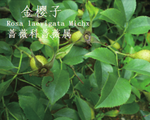 龙潭湿地公园科普宣教 - 靖西市·靖西网