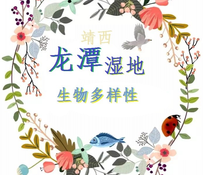 龙潭湿地公园科普宣教 - 靖西市·靖西网