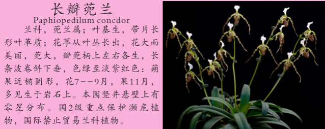 龙潭湿地公园科普宣教 - 靖西市·靖西网