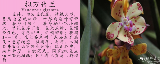 龙潭湿地公园科普宣教 - 靖西市·靖西网