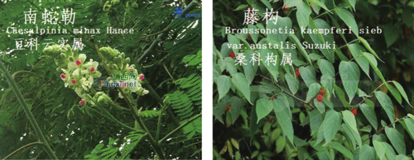 龙潭湿地公园科普宣教 - 靖西市·靖西网