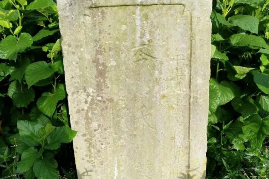 “传说"中的广西最大土司墓群竟然在平果 - 靖西市·靖西网