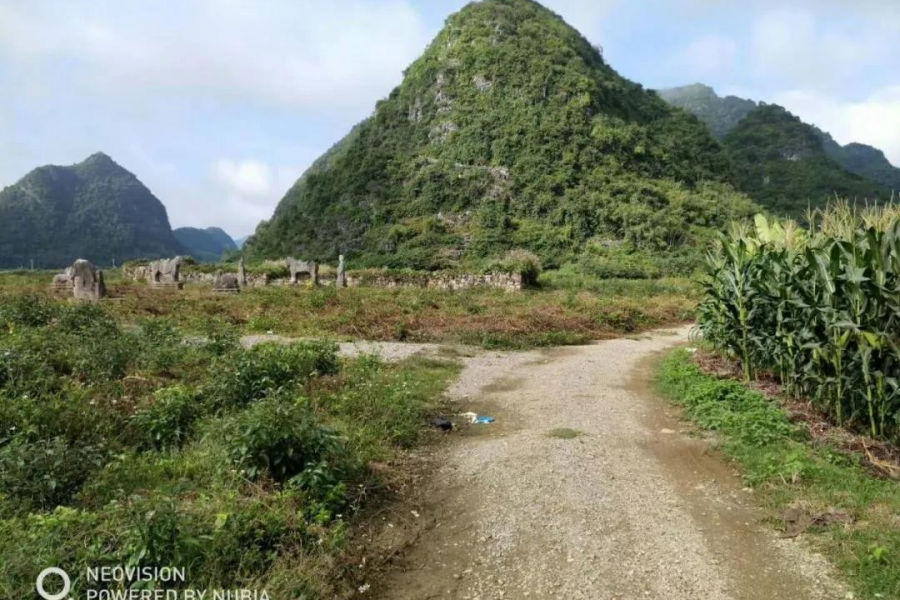 “传说"中的广西最大土司墓群竟然在平果 - 靖西市·靖西网