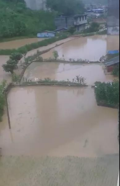 今天，那坡一夜变成海，百年一遇！刷爆朋友圈…… - 靖西市·靖西网