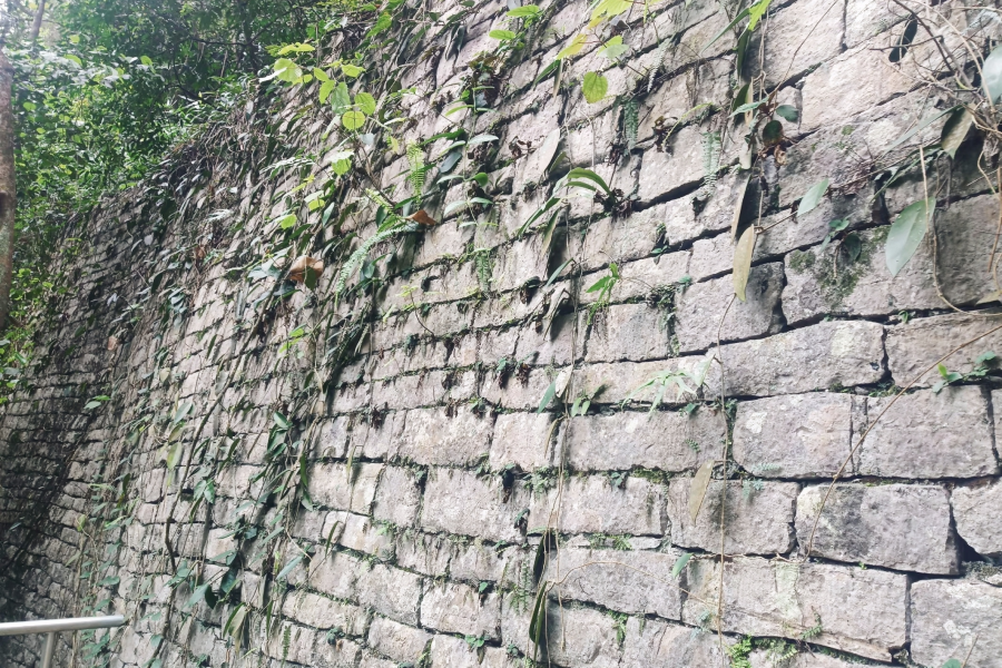 “传说"中的广西最大土司墓群竟然在平果 - 靖西市·靖西网