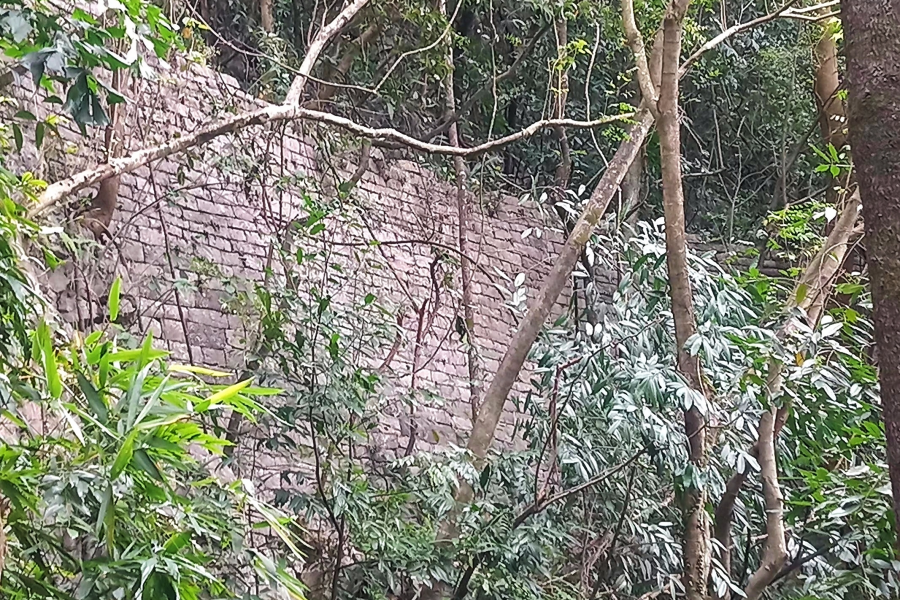 “传说"中的广西最大土司墓群竟然在平果 - 靖西市·靖西网