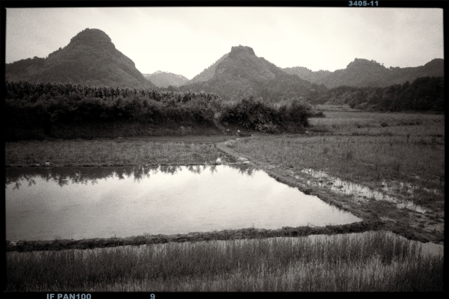 靖西百壁恐龙谷 - 靖西市·靖西网